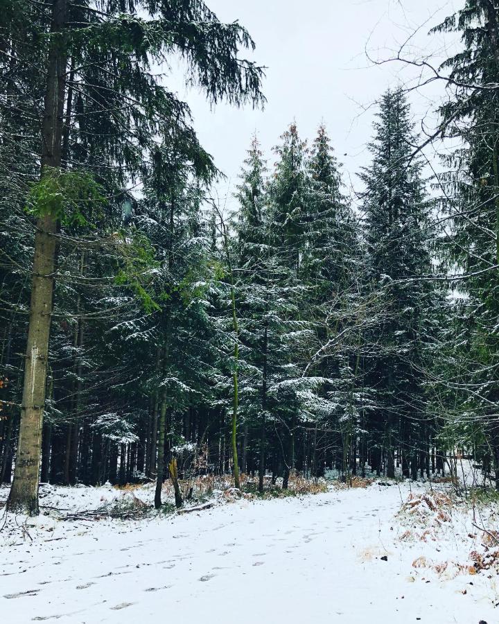 Beskid Wood Houses Jasnowice المظهر الخارجي الصورة