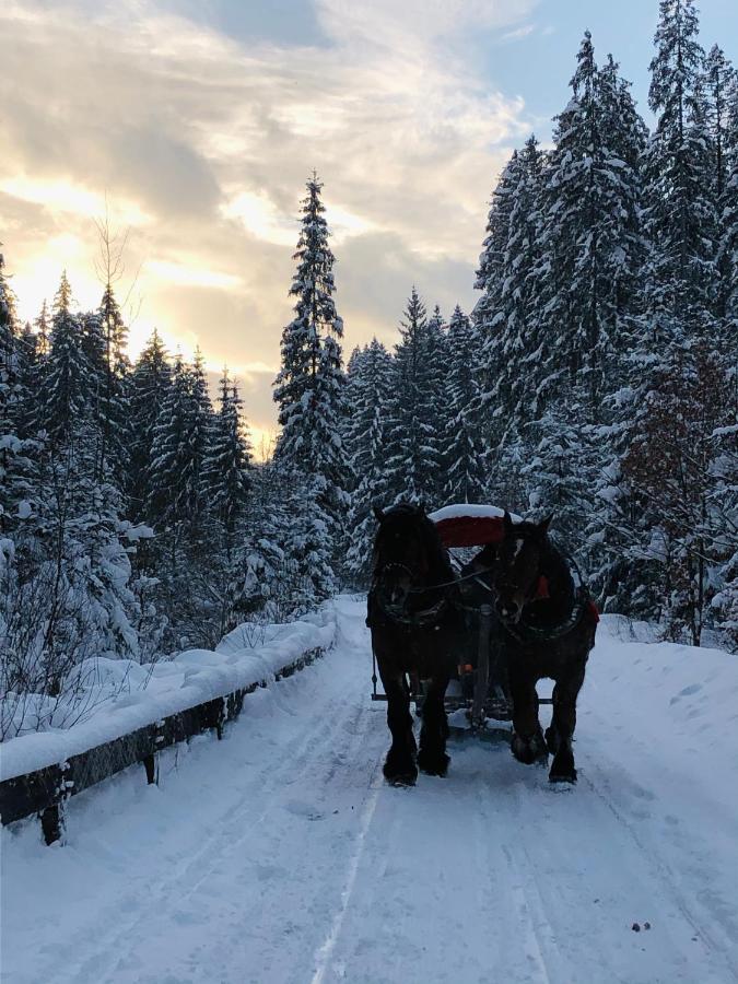 Beskid Wood Houses Jasnowice المظهر الخارجي الصورة